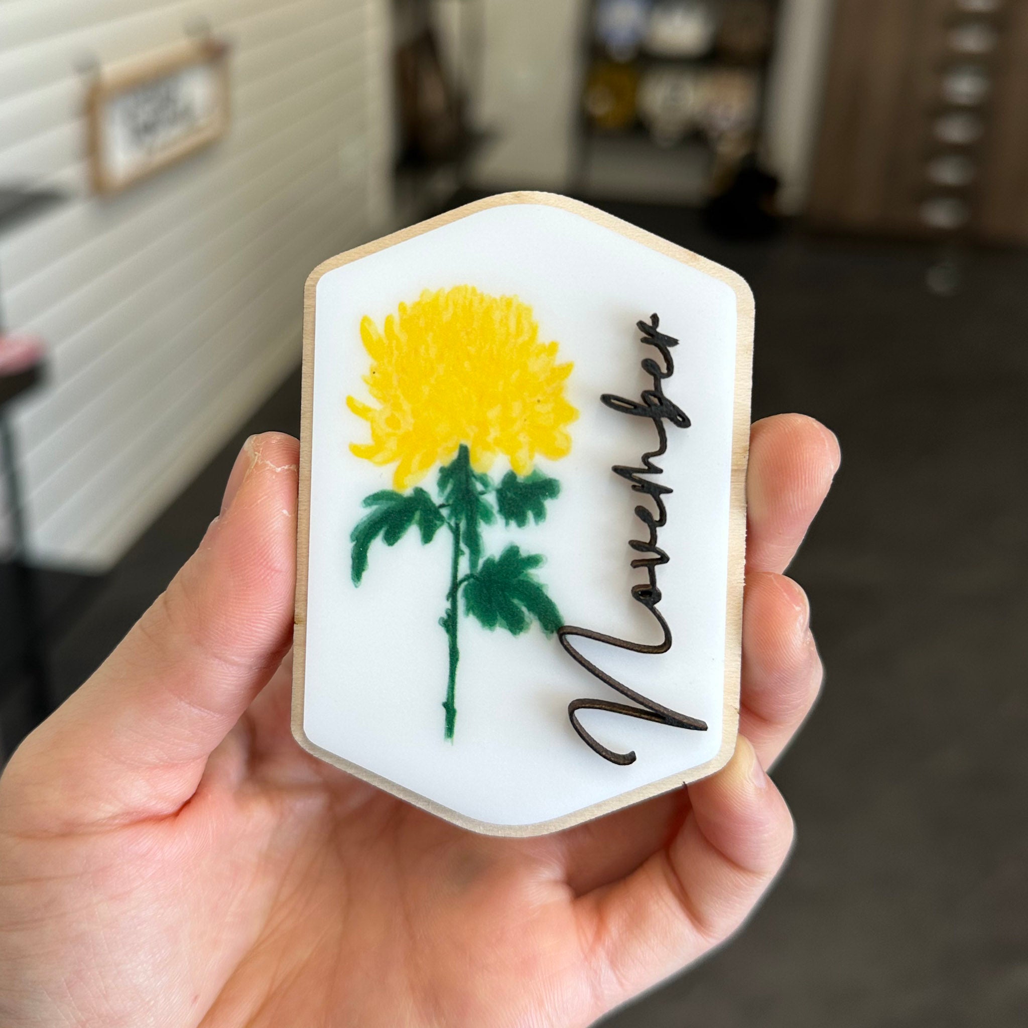 Retired Magnet Designs