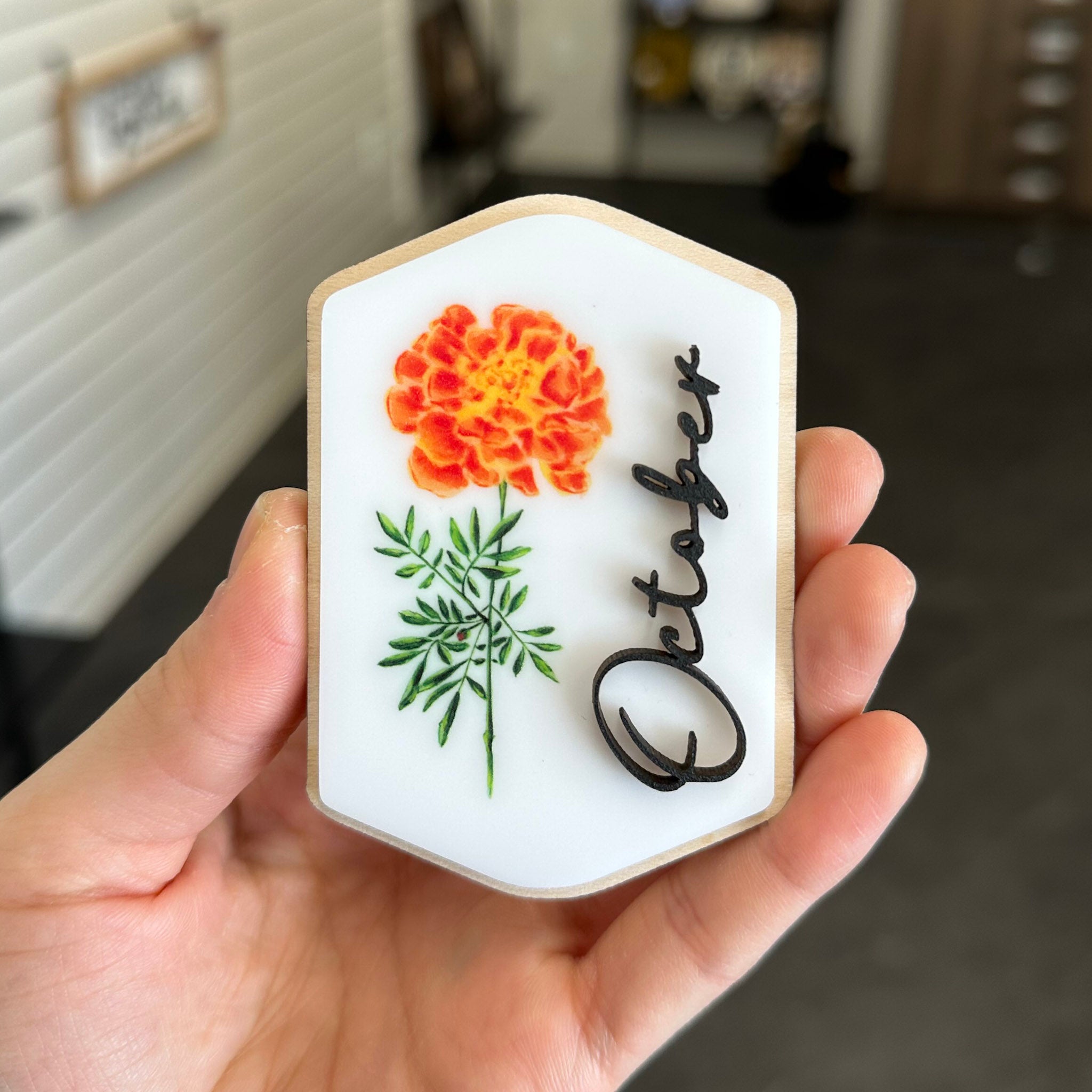 Retired Magnet Designs