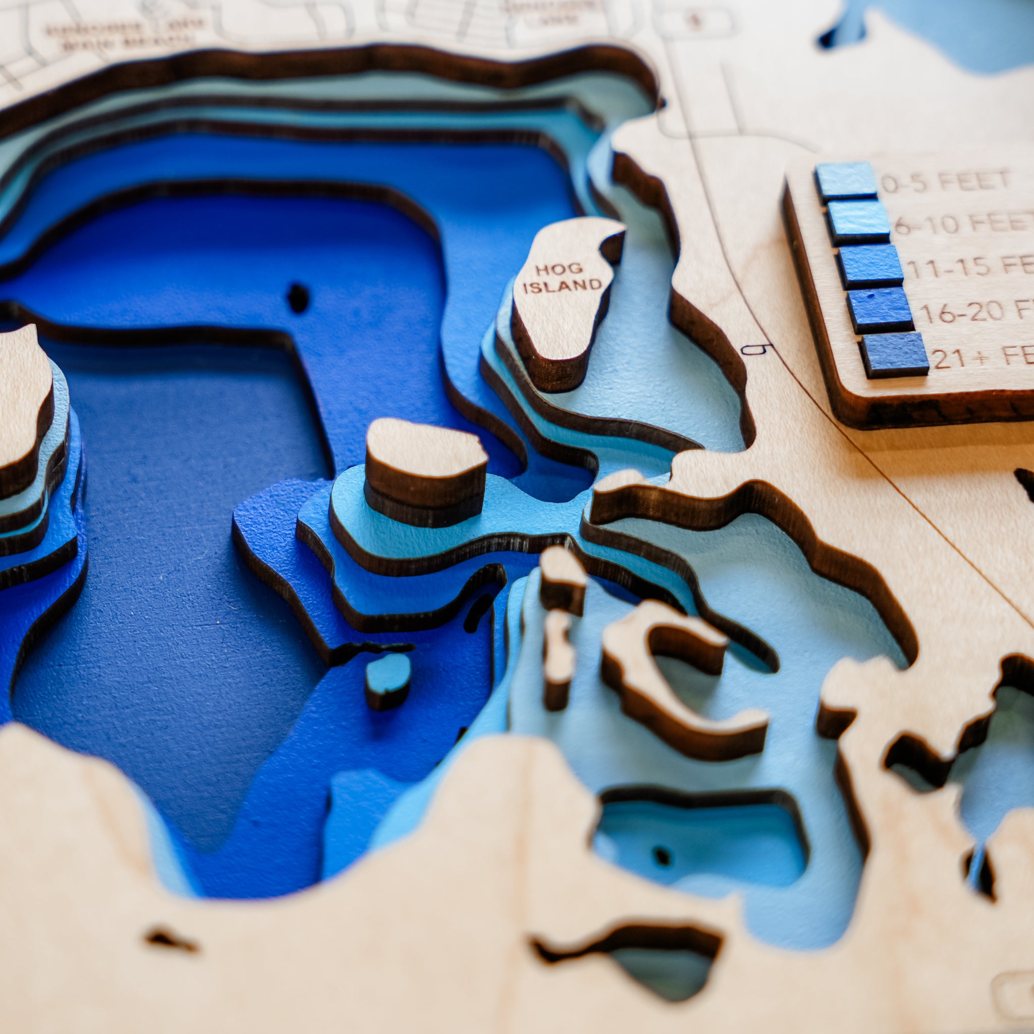 Custom 3D Wood Lake Map