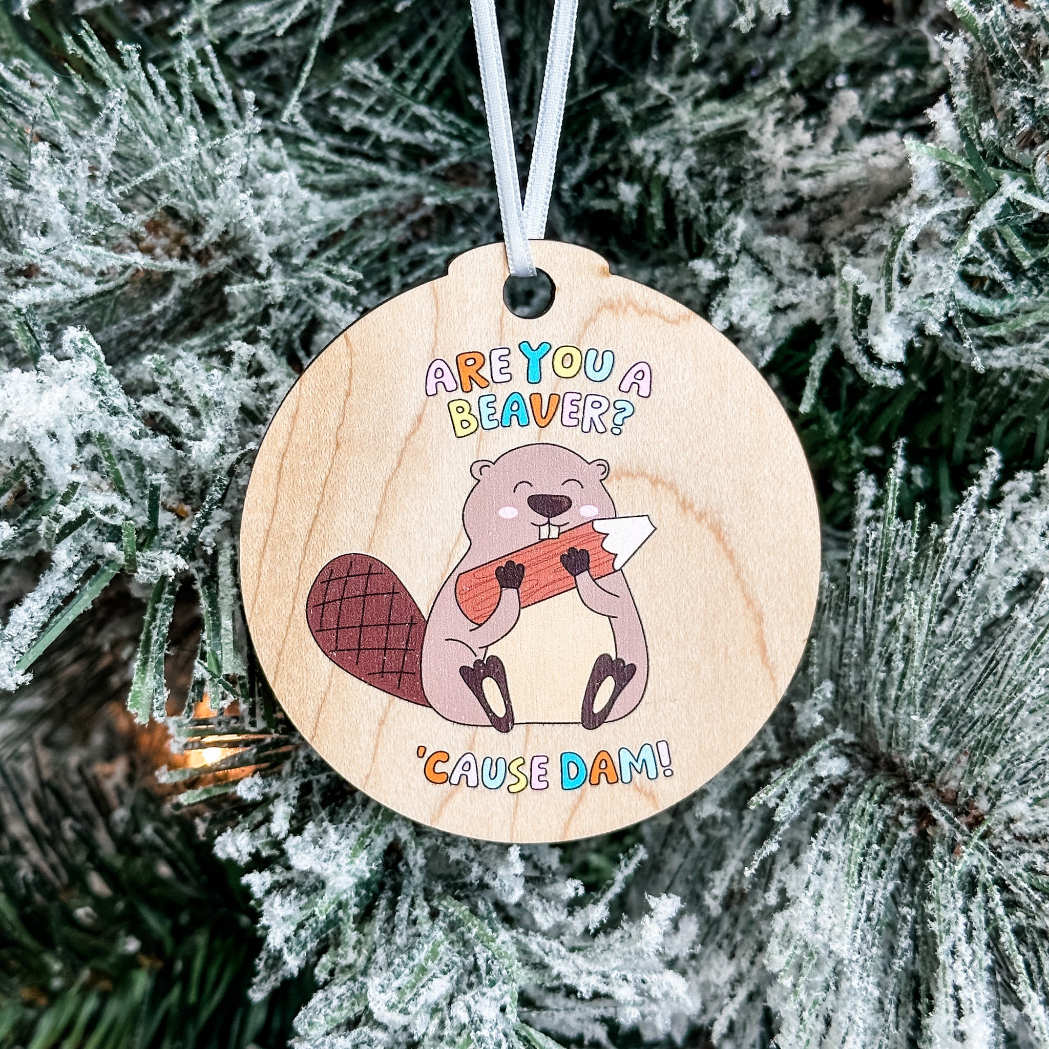Assorted Funny Puns, Inspirational, and Festive Ornaments