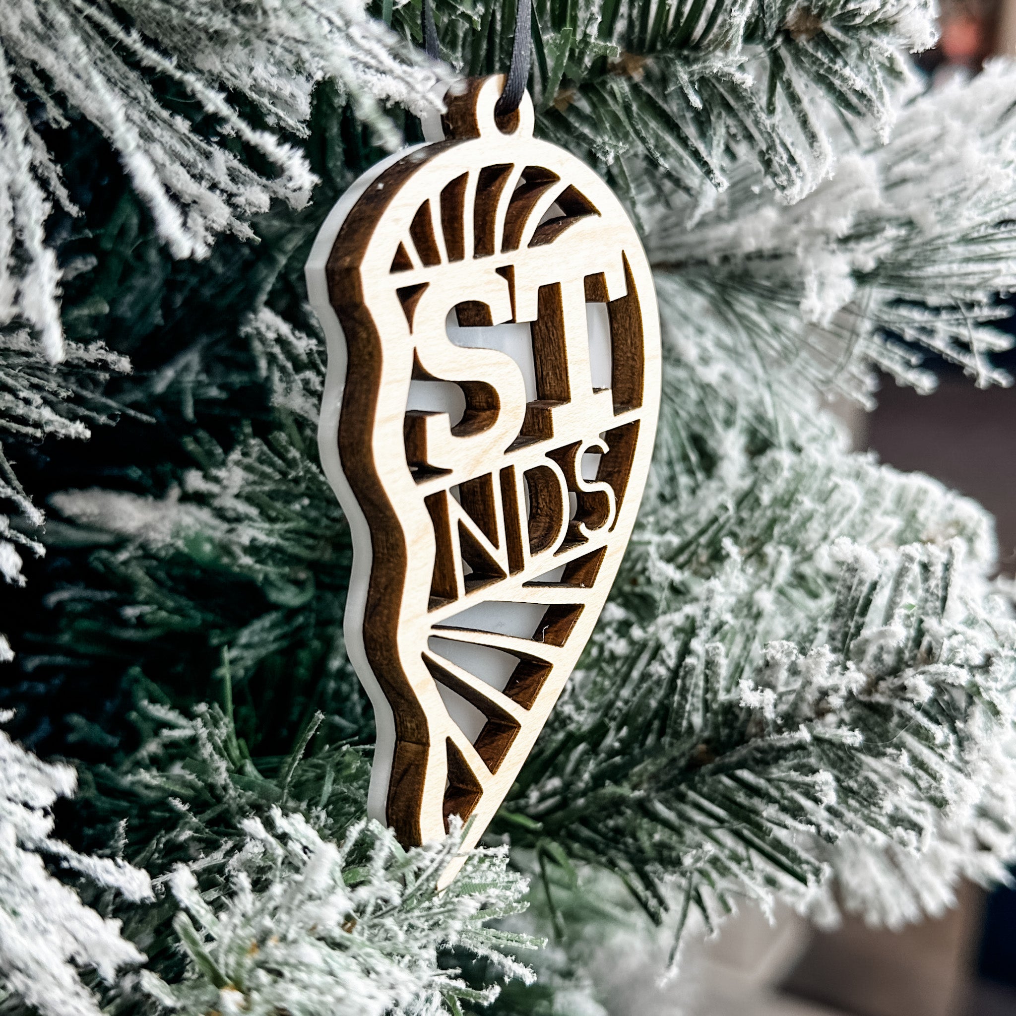 Best Friends Ornament (Includes 2!) ⭐️Brenna's Pick⭐️