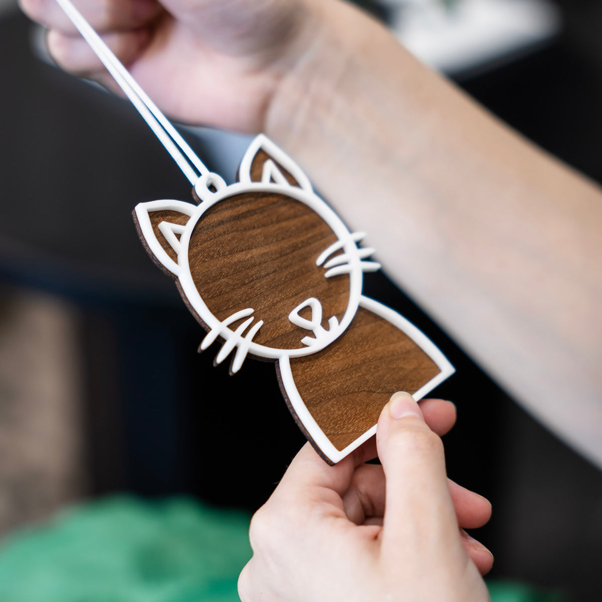#Choose Animal_Cat