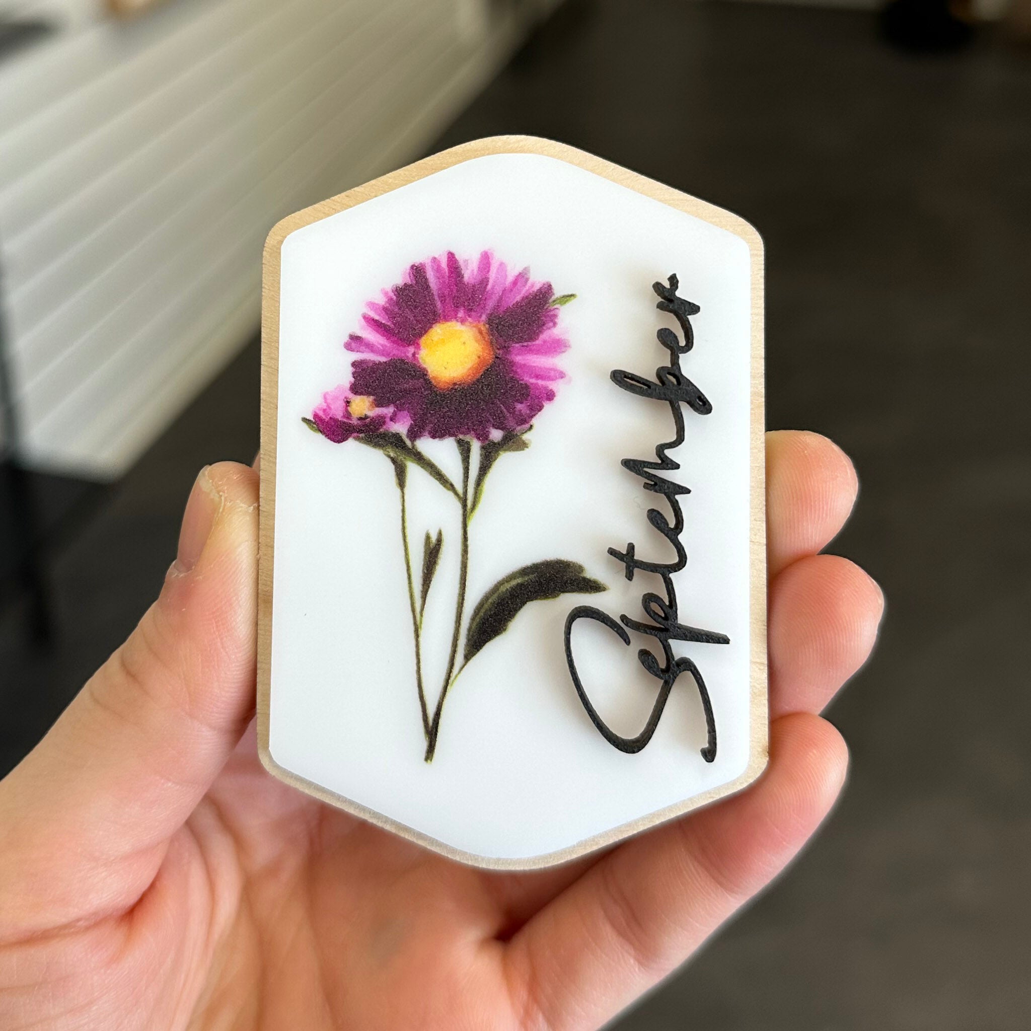 Retired Magnet Designs