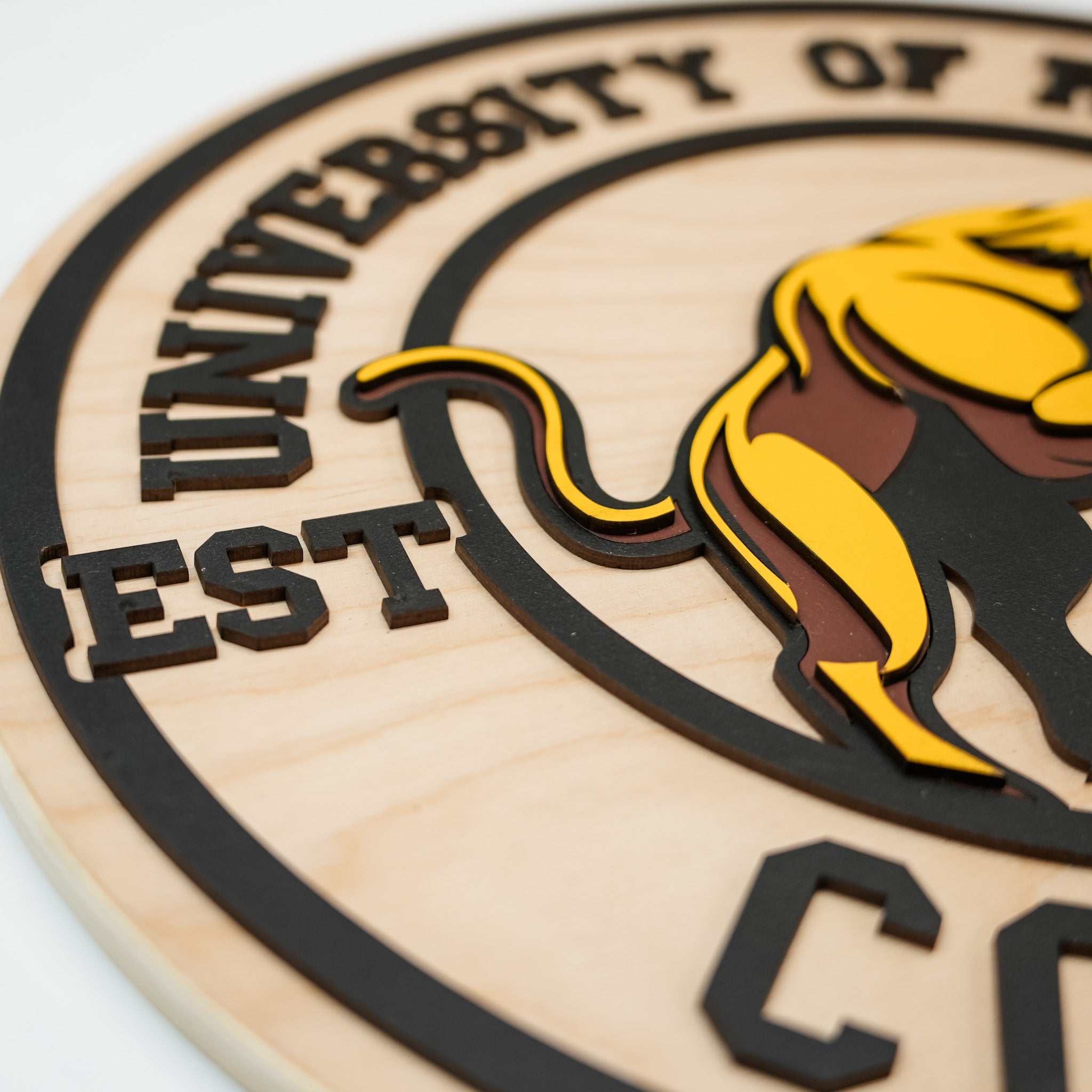 University of Regina Cougars • Personalized 3D Wood Sign • For Students and Fans