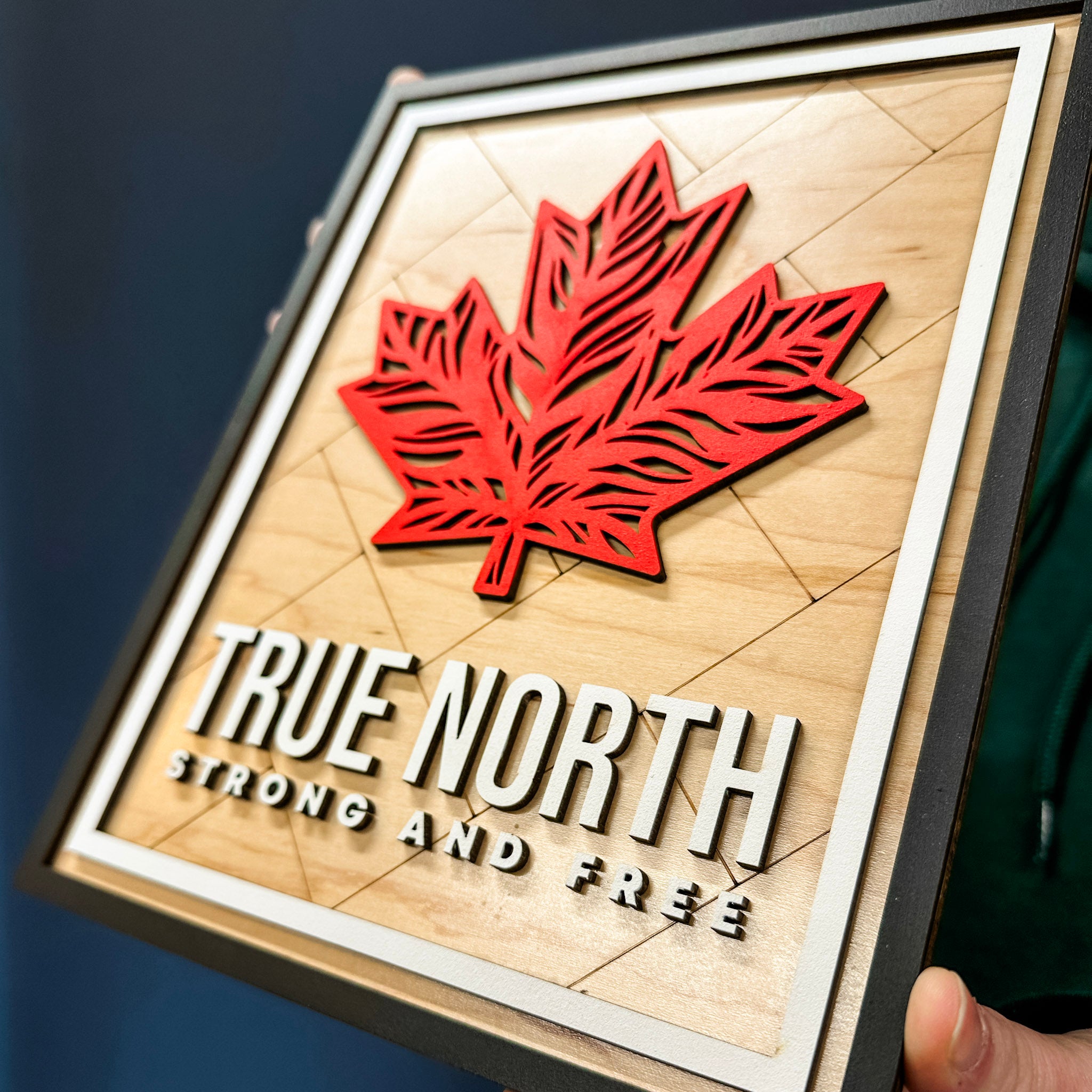 #Sign Type_True North Strong & Free (10x7)