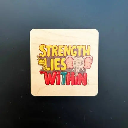 Retired Magnet Designs