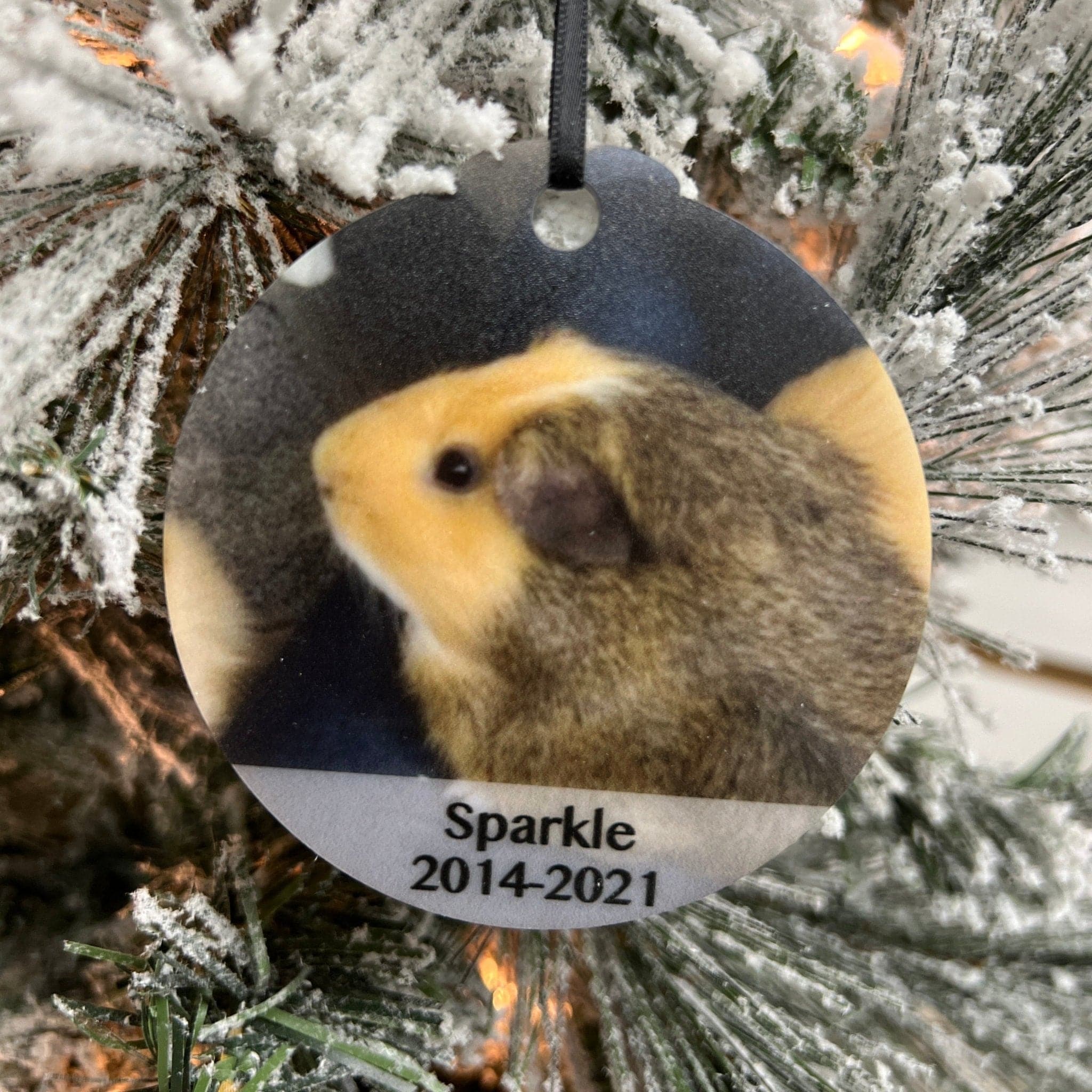 Photo Ornaments *Available for a Limited Time!* - Sticks & Doodles