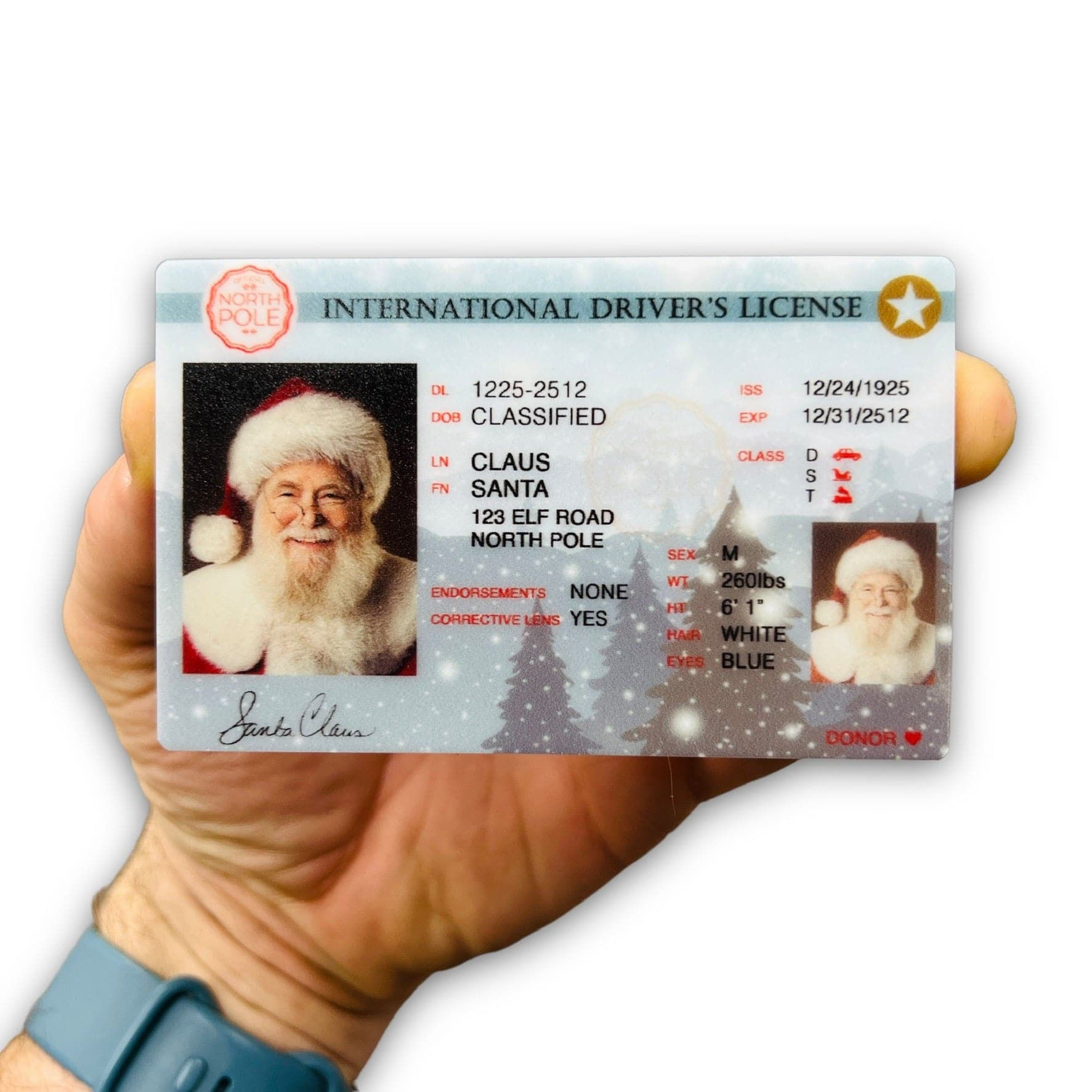 Santa's Drivers License - Sticks & Doodles